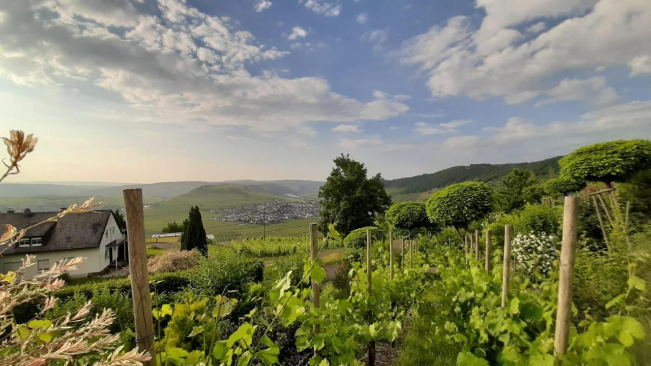 Casa La Vino Lägenhet Leiwen Exteriör bild