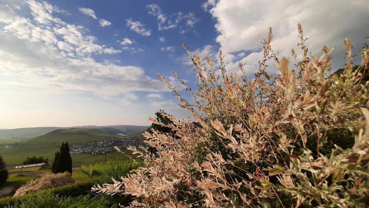 Casa La Vino Lägenhet Leiwen Exteriör bild